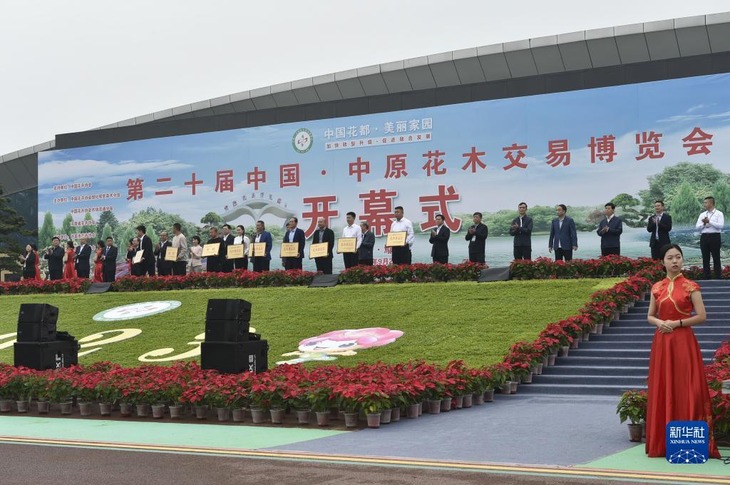 澳洲赌场